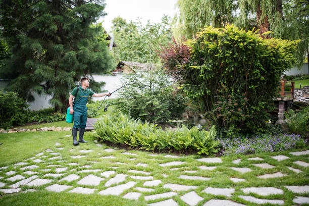 Best Pest Removal Services  in Blackstone, VA
