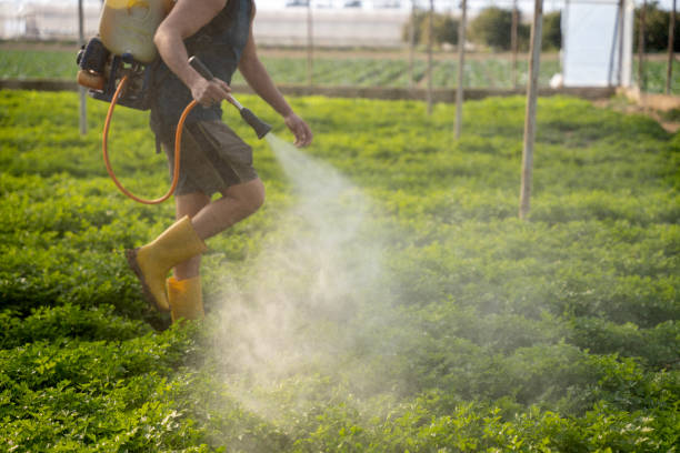 Best Affordable Pest Control Services  in Blackstone, VA
