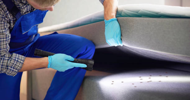 Best Flea Control Services  in Blackstone, VA