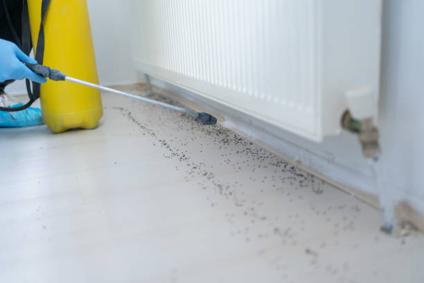 Best Best Pest Control Companies  in Blackstone, VA